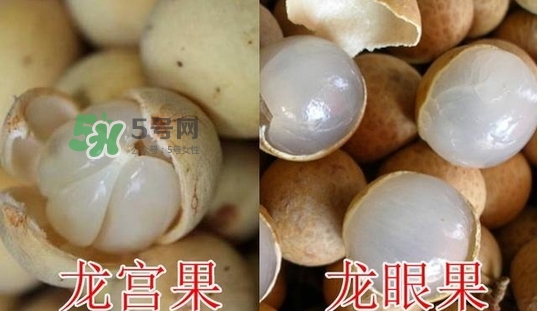 佛頭果的營養價值_佛頭果的功效與作用及做法大全