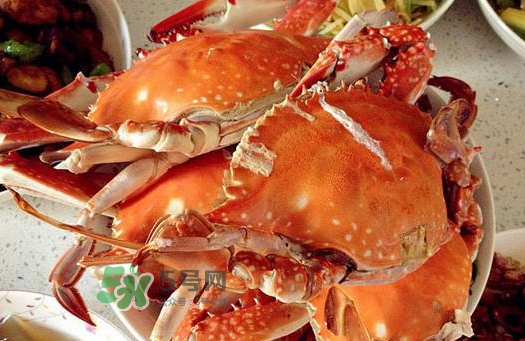 梭子蟹為什么沒(méi)有蟹黃？梭子蟹蟹黃能吃嗎？