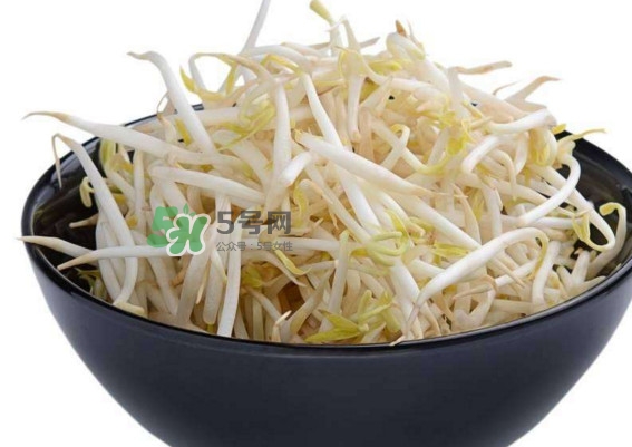 豆芽什么季節吃？豆芽什么時候有