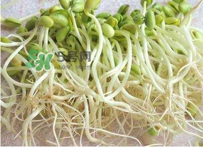 豆芽是發物嗎？豆芽能見陽光嗎