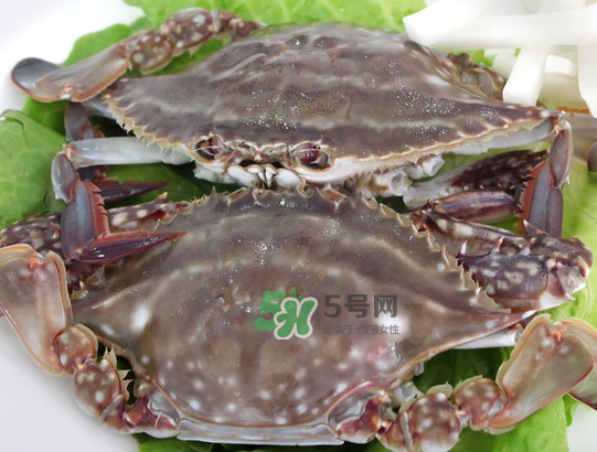梭子蟹為什么這么貴？梭子蟹和大閘蟹哪個(gè)貴？