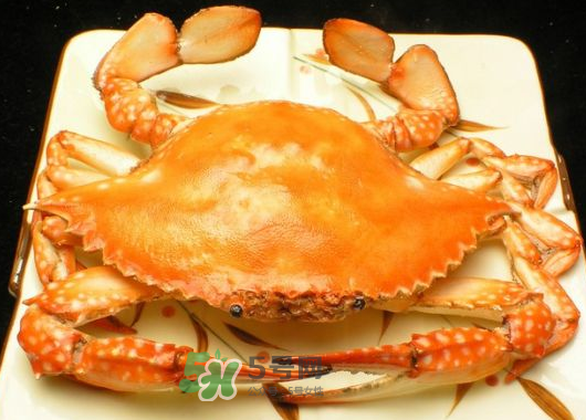 飛蟹什么時候最肥？飛蟹幾月份最肥？