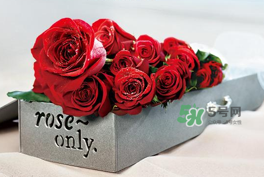 roseonly永生花可以保存多久？roseonly永生花保養