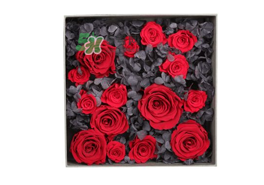 roseonly永生花可以保存多久？roseonly永生花保養