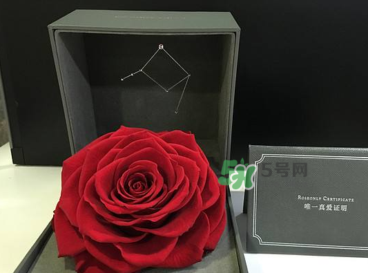 roseonly永生花可以保存多久？roseonly永生花保養