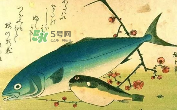 河鲀可以養嗎？河鲀有毒為什么還要吃