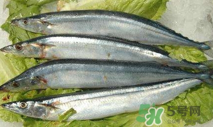 鰣魚和刀魚哪個(gè)貴？長(zhǎng)江三鮮哪個(gè)最貴