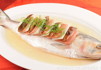 為什么吃清蒸海鰣魚都是半條？鰣魚有什么營(yíng)養(yǎng)價(jià)值