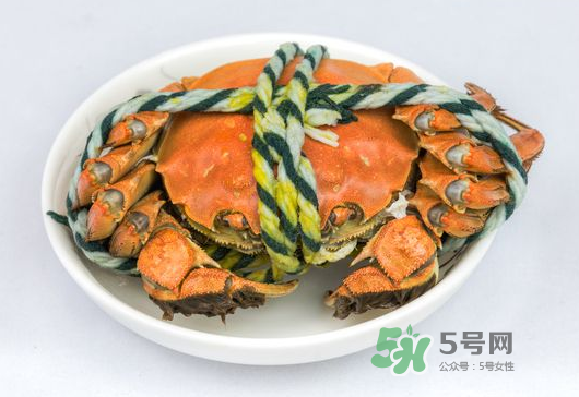 大閘蟹為什么會苦_大閘蟹發苦怎么回事_大閘蟹蟹黃苦可以吃嗎