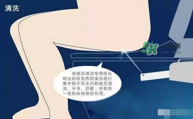 孕期可以蹲著上廁所嗎？孕期上廁所會(huì)壓到寶寶嗎？