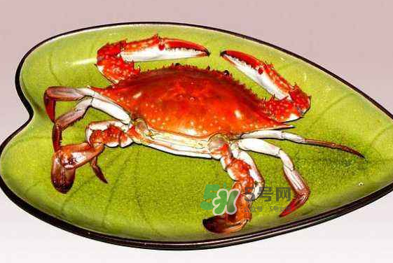 海螃蟹蒸多長時間？海螃蟹蒸多久？