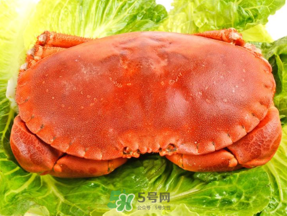 面包蟹和帝王蟹哪個(gè)好吃？面包蟹好吃還是帝王蟹好吃？