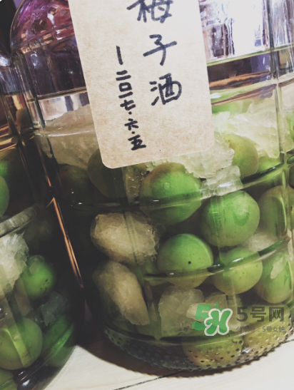 自制青梅酒的做法 青梅酒泡多久可以喝？