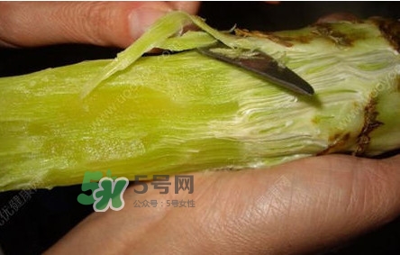 青筍怎么處理？青筍怎么切成菱形