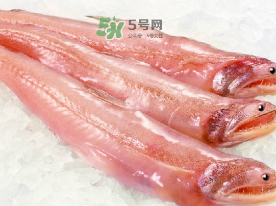 海鮮水潺孕婦可以吃嗎？水潺魚的營養(yǎng)價值
