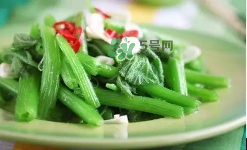 南瓜苗怎么做好吃？南瓜苗怎么撕？