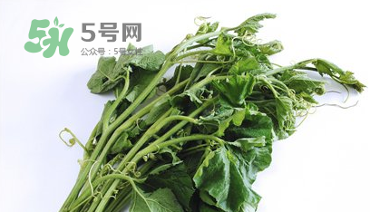 南瓜苗怎么做好吃？南瓜苗怎么撕？