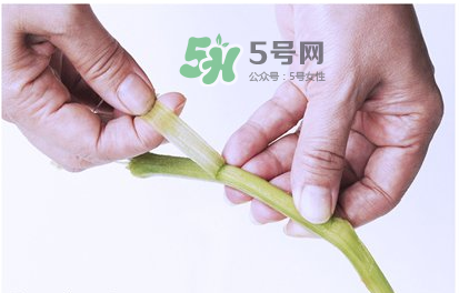 南瓜苗怎么做好吃？南瓜苗怎么撕？