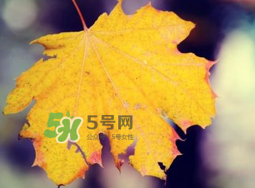 立秋后吃什么好？立秋后怎么養(yǎng)生？
