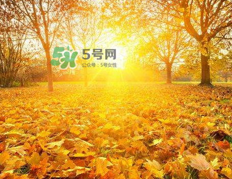 立秋后吃什么好？立秋后怎么養(yǎng)生？