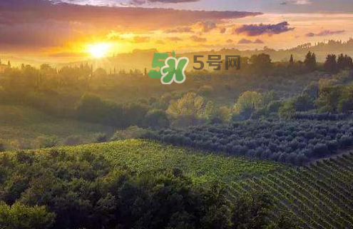 立秋后吃什么好？立秋后怎么養(yǎng)生？