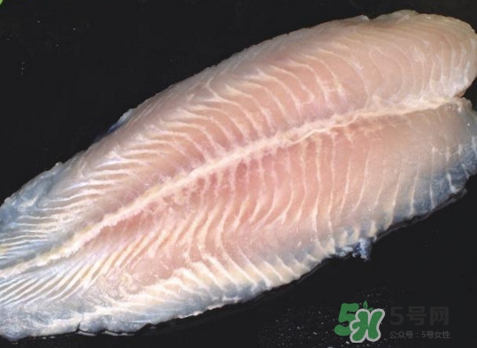 龍利魚有刺嗎？龍利魚有魚鱗嗎