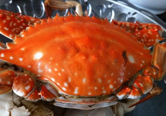 梭子蟹可以清蒸嗎？梭子蟹蒸還是煮？
