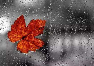 2017處暑會(huì)下雨嗎？處暑會(huì)下雨好嗎？