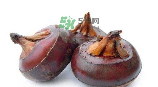 野荸薺怎么吃？野荸薺的食用功效