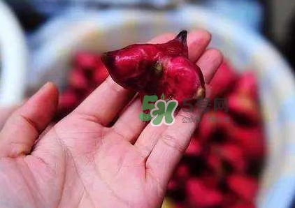 紅菱怎么吃？吃紅菱有什么好處？