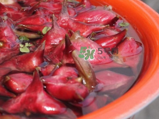 紅菱什么時(shí)候上市？什么時(shí)候采紅菱