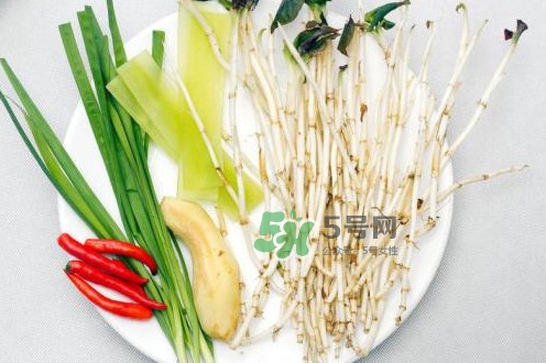 魚腥草什么季節有？魚腥草什么時候采摘最好