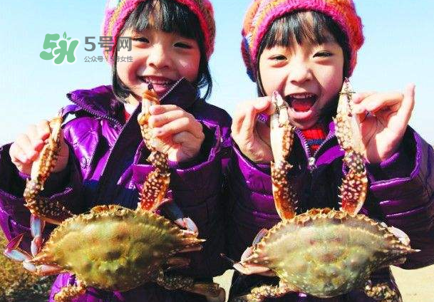 青島梭子蟹多少錢一斤？青島梭子蟹什么時候上市？