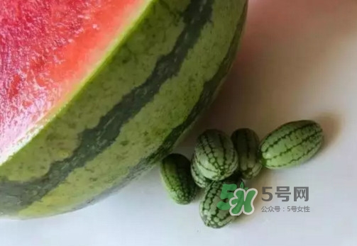 拇指西瓜多少錢一斤？拇指西瓜一口能吃幾個？