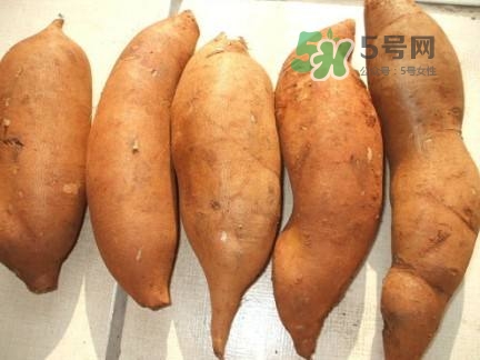 雪蓮果是水果嗎？雪蓮果是什么季節(jié)的水果？