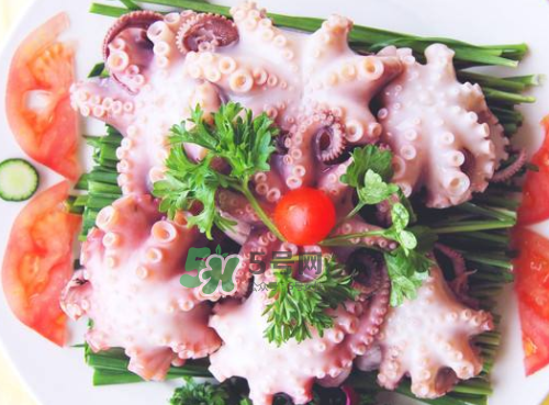 八爪魚(yú)什么地方不能吃？八爪魚(yú)哪里不能吃？