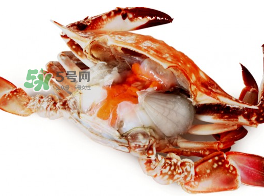 吃梭子蟹會胖嗎？梭子蟹吃了會胖嗎？ 