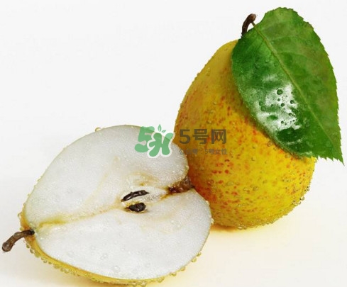 為什么梨子是溫度最高的水果？梨子什么人不能吃