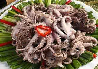 八爪魚可以冷凍嗎？八爪魚可以放冰箱嗎？