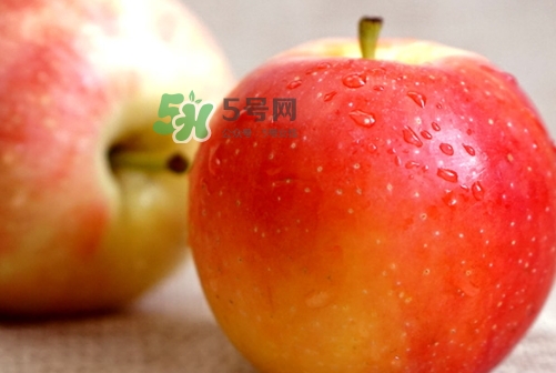 嘎啦蘋(píng)果多少錢(qián)？嘎啦果多少錢(qián)一斤