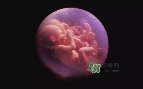 多胞胎是怎么生產的？多胞胎應選擇什么分娩方式