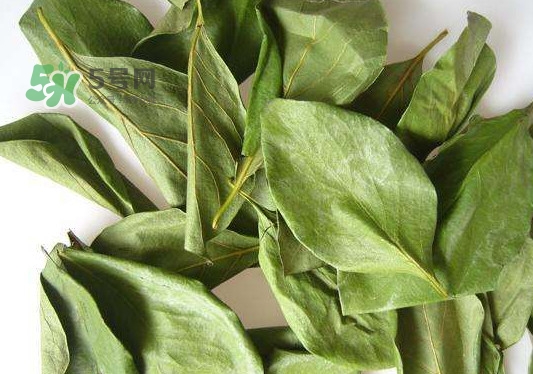 怎樣制作柿子葉茶？柿子葉茶的做法