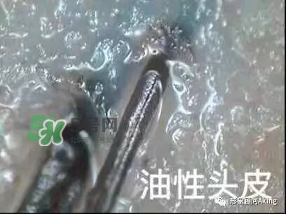 無硅油洗發水為什么貴 無硅油洗發水真的好嗎