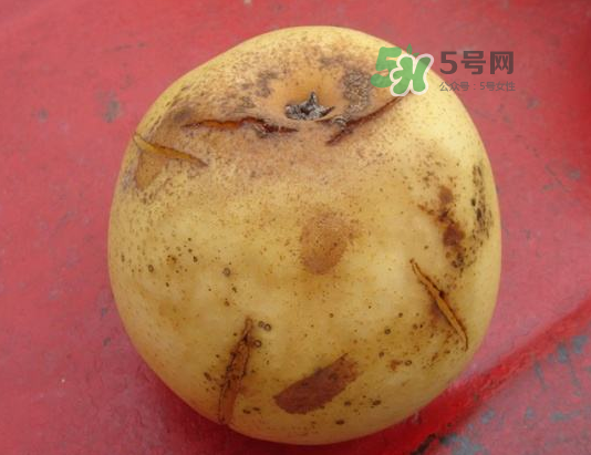 皇冠梨雞爪病能吃嗎？皇冠梨雞爪病怎么辦？