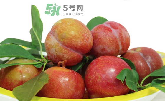 芙蓉李多少錢一斤？芙蓉李價格
