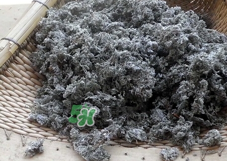 白蒿的營養價值_白蒿的功效與作用及食用方法