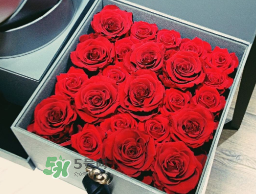 roseonly怎么買？roseonly如何買第二次？