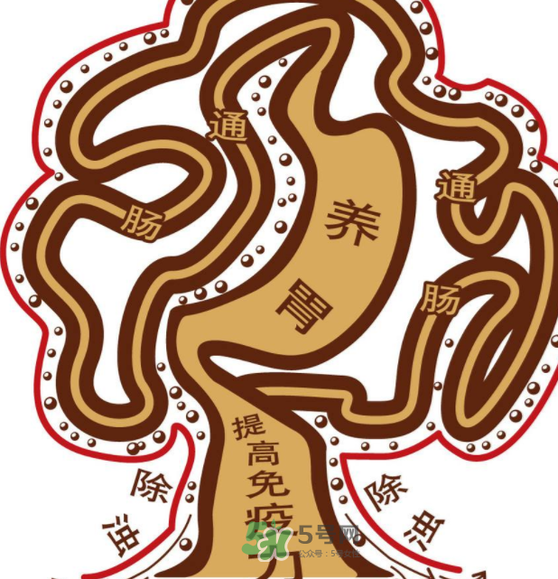 腸胃不好會引起頭暈嗎？頭暈與腸胃不好有關(guān)系嗎？