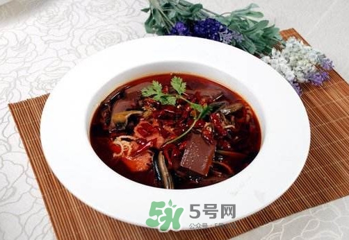 毛血旺是一種動物嗎？毛血旺是鴨血嗎