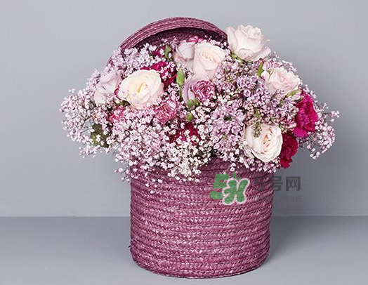 野獸派和roseonly哪個好？野獸派和roseonly區別